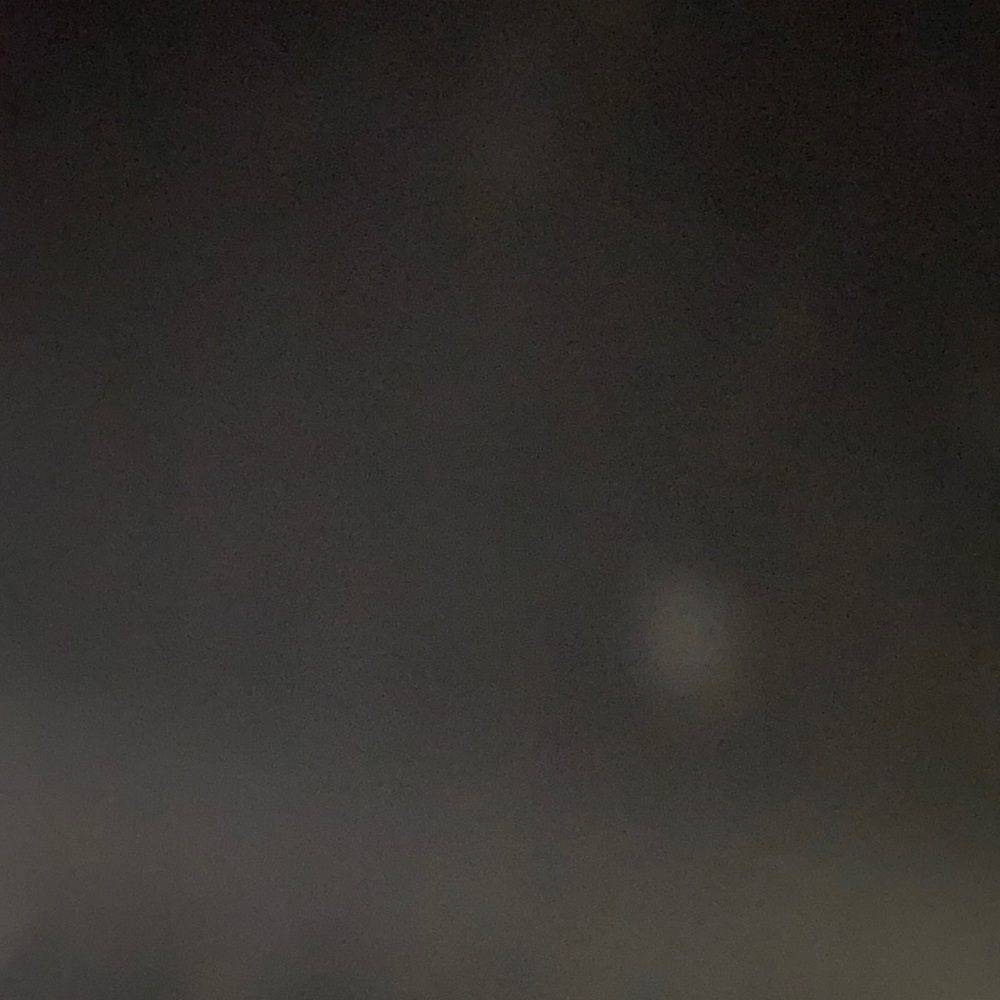 Meet your Posher, Shamar